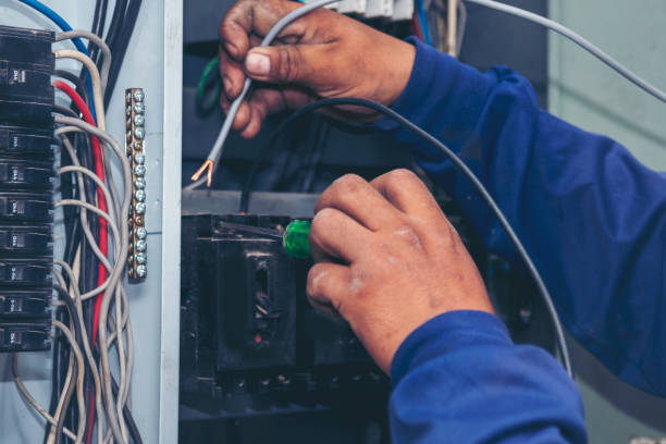 Best Licensed Electrician  in Green Forest, AR