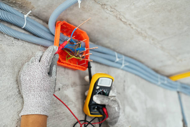 Best Local Electrician Companies  in Green Forest, AR